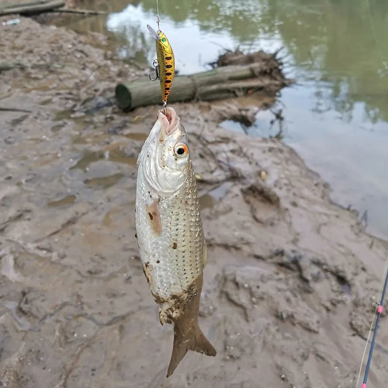 Σετ 5 Τεχνητών Ψαρέματος Minnow – Βυθιζόμενα Τεχνητά για Πέρκα, Τσιπούρα & Bass