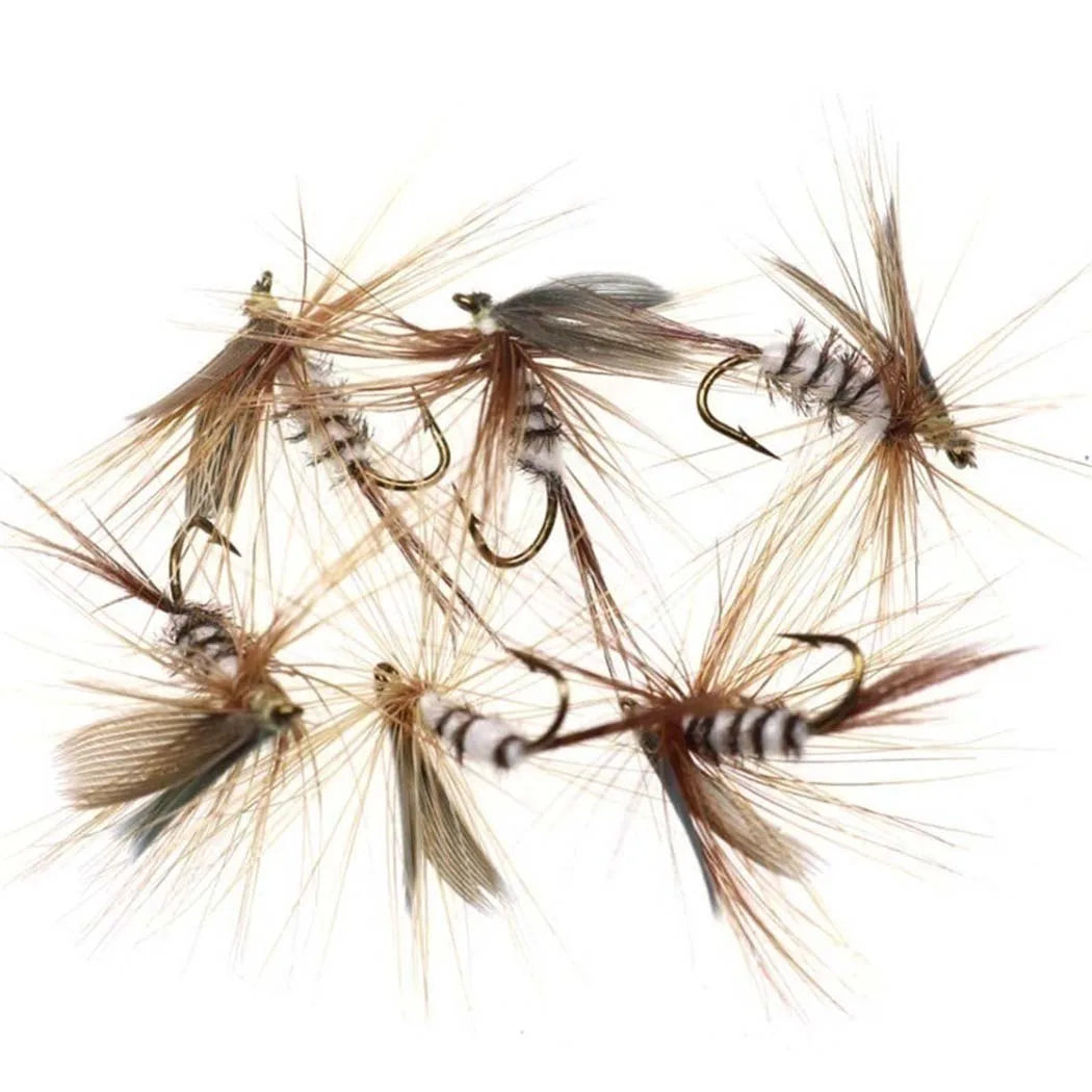 Σετ 6 Τεχνητών Μύγας για Fly Fishing – Νύμφες & Ξηρές Μύγες για Πέστροφα & Σολομό